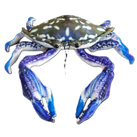 Blue Swimmer Crab