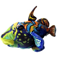 Mandarin Fish