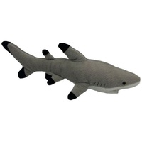 Pacific Shark