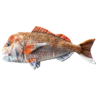 Sonny Snapper