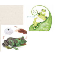 Green Tree Frogs and Lifecycle Puppet Bundle