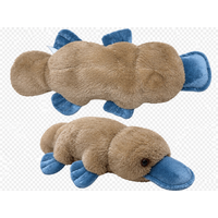 Peter Platypus Plush - Eco