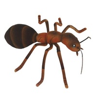 ANT 25CM