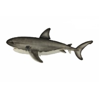 Great White Shark Plush