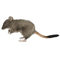 Potoroo Plush