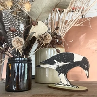 Standing Bird - Magpie